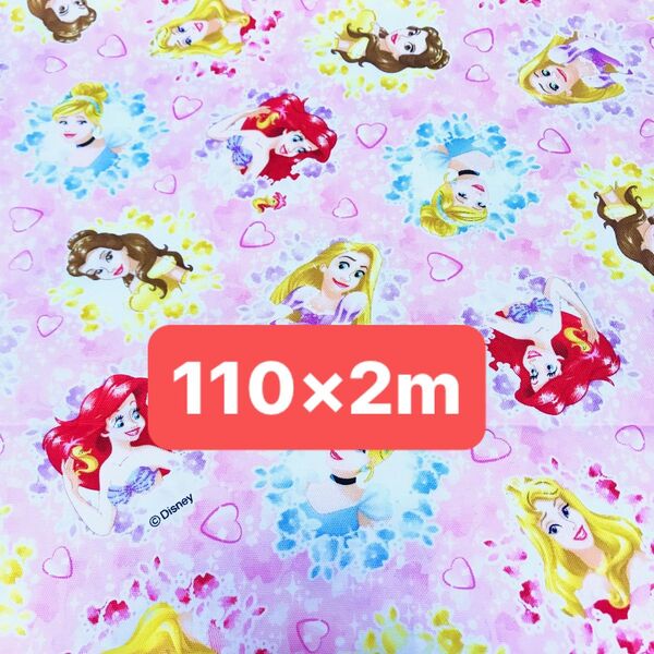 激レア生地! ディズニー プリンセス オックス はぎれ ハンドメイド 入学入園