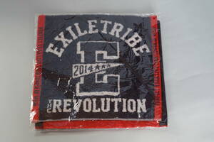 ☆EXILE　2014 THE REVOLUTION　ハンドタオル　2枚組☆