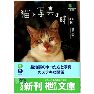 本 文庫 藤田一咲 枻文庫 「猫と写真の時間」 枻出版社 帯付 路地裏のネコたちと写真のステキな関係