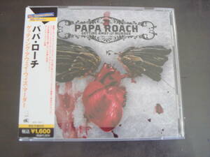 CD　PAPA　ROACH/GETTING　AWAY　WITH　MURDER　パパ・ローチ/ゲッティング・アウェイ・ウィズ・マーダー