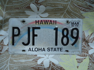ハワイ　2023年製　ライセンス　ナンバープレート　レインボー　PJF 189　本物