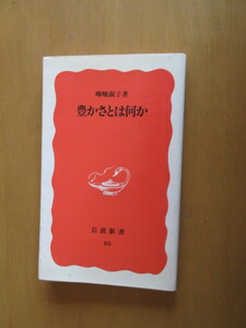 豊かさとは何か　　俊淑子　　　岩波新書　　1990年9月