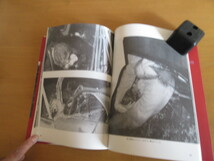 写真集　デス・アクシデント　　事故現場を直視する（車だけでなく）ソニー・シェパード　　大塚一軌訳　　第三書館　　2001年　　ムック本_画像4
