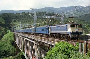 ♪　EF65 1101＋24系　富士　根府川鉄橋　KG写真 ♪　