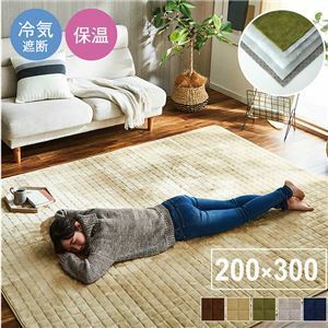 【新品】ラグマット/絨毯 【ベージュ 約200×300cm】 洗える 防滑加工 保温 蓄熱 断熱 アルミ 無地 ホットカーペット対応 〔リビング〕