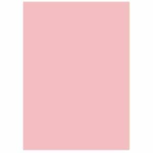 【新品】北越製紙 カラーペーパー/リサイクルコピー用紙 【B4 500枚×5冊】 日本製 ピンク