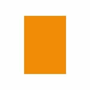 【新品】(業務用2セット) 北越製紙 カラーペーパー/リサイクルコピー用紙 【B5 500枚×5冊】 日本製 オレンジ