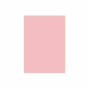 【新品】(業務用2セット) 北越製紙 カラーペーパー/リサイクルコピー用紙 【B5 500枚×5冊】 日本製 ピンク