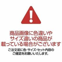 【新品】（まとめ）リンテック ニューカラーR 八つ切 わかくさ 8NCR-243 1パック(100枚)【×3セット】_画像4