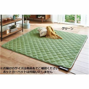 【新品】パーソナル ラグ マット ふつうタイプ 約200×295cm グリーン 保湿 吸湿 発熱 蓄熱 洗える ホットカーペット対応 床暖房対応