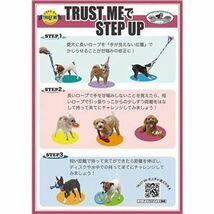 【新品】（まとめ） トラストミー レトリーブ 屋外用 ディスク マリーン （ペット用品・犬用） 【×2セット】_画像5