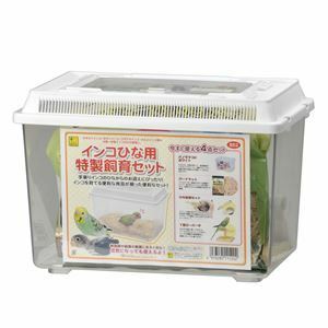 【新品】インコひな用 特製飼育セット (鳥用品/カゴ)