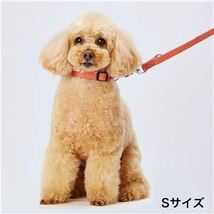 【新品】（まとめ）ソフトスキップカラーS レッド【×3セット】 (犬用品/首輪)_画像2