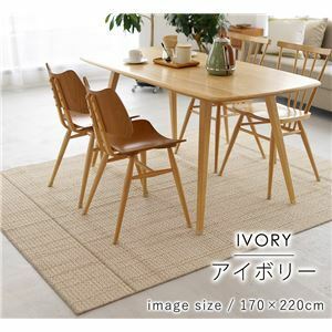 【新品】ラグマット/絨毯 【ウッド 約220×250cm アイボリー】 洗える 軽量 ダイニングラグ スミノエ 〔リビング プレゼント〕