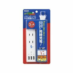 【新品】YAZAWA 国内海外兼用2AC3USB3.4A1mVFC34A2AC3U