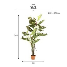 【新品】観葉植物 造花 約幅80cm スプリット 6号鉢対応 22 52667 インテリアグリーン リビング 店舗 ショップ お店_画像5