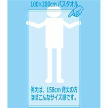 【新品】業務用 超大判バスタオル 【レピアモカ 12枚セット】 100cm×200cm 綿100％ 2000匁 レピア織 〔美容院 整骨院〕_画像4