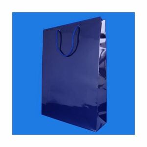 [ new goods ]( summarize )simojima bright bag 6138023si navy blue 1 sheets insertion [×10 set ]