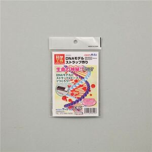 【新品】(まとめ)アーテック DNAストラップ作り 【×30セット】