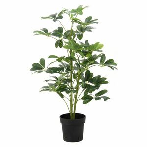 【新品】観葉植物 造花 幅50×奥行50×高さ120cm ヤドリフカノキ インテリアグリーン リビング ダイニング インテリア雑貨