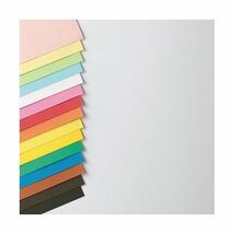 【新品】(まとめ) TANOSEE 色画用紙 四つ切 だいだい 1パック（10枚） 【×30セット】_画像2