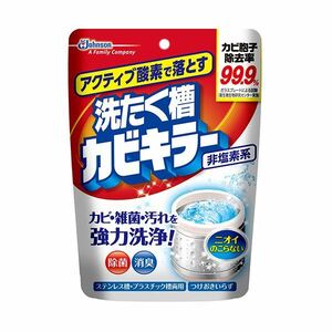 【新品】（まとめ）ジョンソンアクティブ酸素で落とす洗たく槽カビキラー（非塩素系）250g 1個【×20セット】