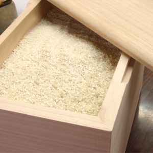 【新品】泉州 留河 桐の米びつ 無地30kg