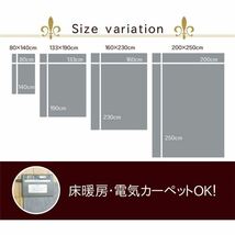 【新品】ラグマット/絨毯 【ギャッベ柄 ベージュ 約80×140cm】 抗菌 防臭 耐久性 オールシーズン トルコ製 ウィルトン織 〔リビング〕_画像4