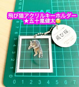 飛び猫 アクリルキーホルダー★五十嵐健太作★未使用品です♪