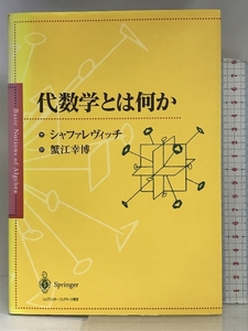 代数学とは何か シュプリンガー・フェアラーク東京 イゴール・ロスティスラヴォーヴィッチ シャファレヴィッチ