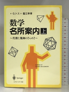 数学名所案内〈上〉―代数と幾何のきらめき シュプリンガー・フェアラーク東京 ゲイバー トス