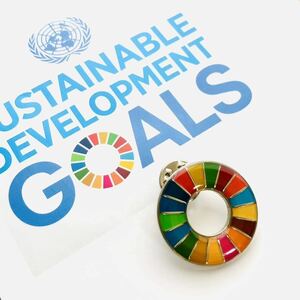 【特別提供品】SDGs ピンバッジ　新品未使用　【国連本部純正品】 