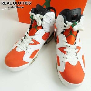 NIKE/ナイキ AIR JORDAN 6 GATORADE エアジョーダン6 ゲータレード 384664-145/28.5 /080