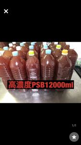 【高濃度】PSB12000ml