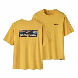 パタゴニア　Tシャツ　 キャプリーン クール デイリー グラフィック シャツ　ウォーターズ　 patagonia