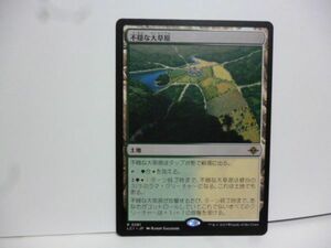 不穏な大草原 Restless Prairie レア イクサラン：失われし洞窟 MTG マジック・ザ・ギャザリング 日本語