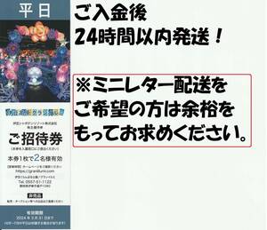 【平日】即発送＆複数枚対応OK 伊豆 グランイルミ シャボテンリゾート 株主優待 ぐらんぱる公園 中学生以上の大人2名 入場券 2024/6/30まで