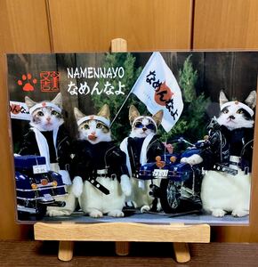 Art hand Auction なめ猫 ラミネート ハンドメイド品, ハンドメイド作品, インテリア, 雑貨, パネル, タペストリー