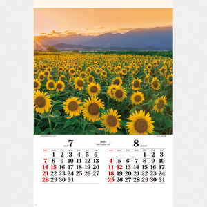 豪華フィルムカレンダー　四季光燿（SG-502）2024年カレンダー