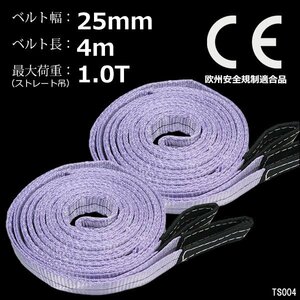 CE規格品 ベルトスリング ナイロンベルトスリング 25mm×4m ストレート吊 1T【2本セット】両端アイ型 建築 吊具/11и