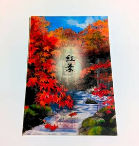 【SALE】≪透かし絵・紅葉≫【福井　杉杜白髭神社（限定御朱印）】織田信長：豊臣秀吉：徳川家康：明智光秀：朝倉義景：紅葉：新嘗祭：銀杏