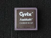 Cyrix CX-83D87-33-GP FasMath コプロセッサ_画像1