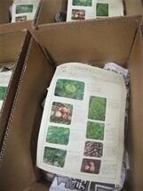 ★「自然栽培」の野菜Sセット5-6品入　★★無農薬★無肥料★無除草剤★★　　２セットまで送料同じ！！_画像4