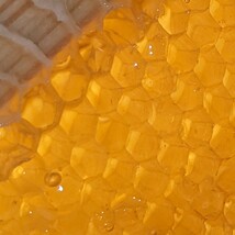 250g x 2 天然蜂蜜　生はちみつ　糖度80度　山奥の養蜂場で育てた蜜蜂が作った蜂蜜 完熟 国産蜂蜜 天然 百花蜜 非加熱はちみつ_画像8