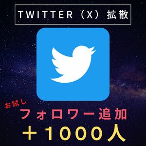 ☆格安☆【Twitter X フォロワー お試し 1000人】ツイッター エックス フォロワー 1000人増加 SNS 拡散 プロモーション 収益化