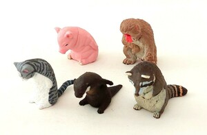 送料220円～☆エール カプセルトイ おじぎさん「ニホンザル カワウソ アライグマ ブタ マンチカン」マスコットフィギュア 5種セット 動物