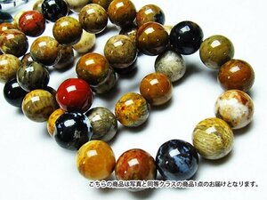 誠安◆超大天然石高級品木化石ブレスレット 17mm [T798-5]