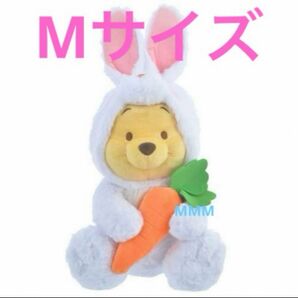 プーさん　ぬいぐるみ　Mサイズ　卯(ウサギ) Eto Pooh 2023