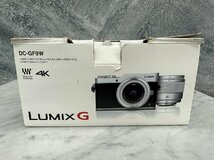 □t655　中古★Panasonic パナソニック DCーGF9 ダブルレンズキット_画像10