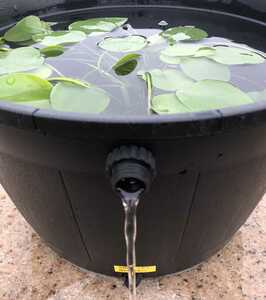  front door biotope optimum! Smart valve overflow measures ending water lily pot [ small ] black 1 piece 